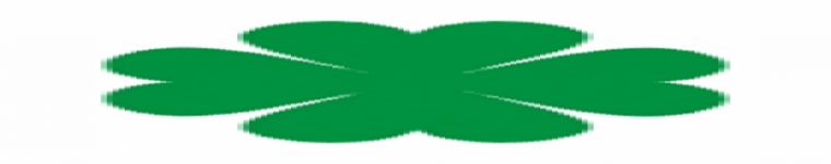 Primary Raster logo